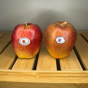 Farmer Green Apple Farmer's Market artificial decor fake photo prop Farmhouse